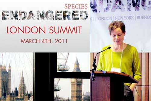 Elena Rossini Endangered Species London