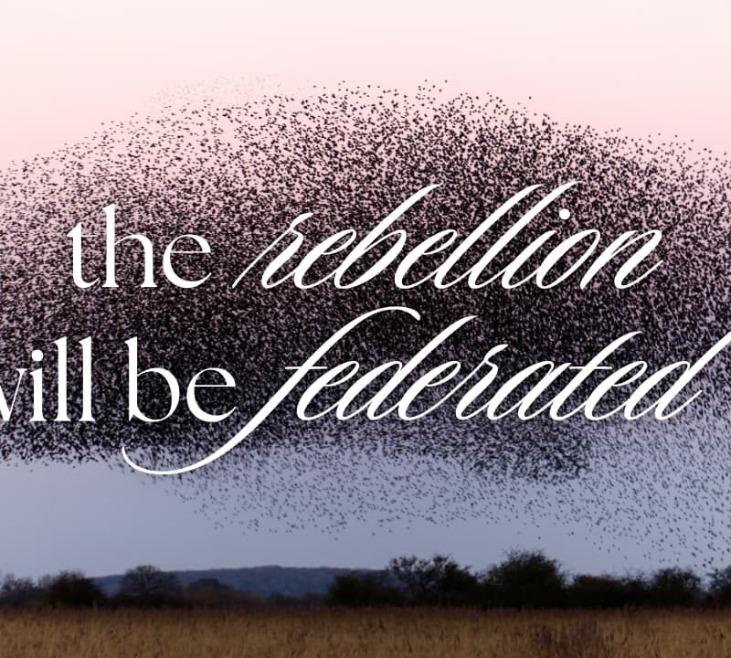 a photo of a bee swarm at dusk with the text the rebellion will be federated on top